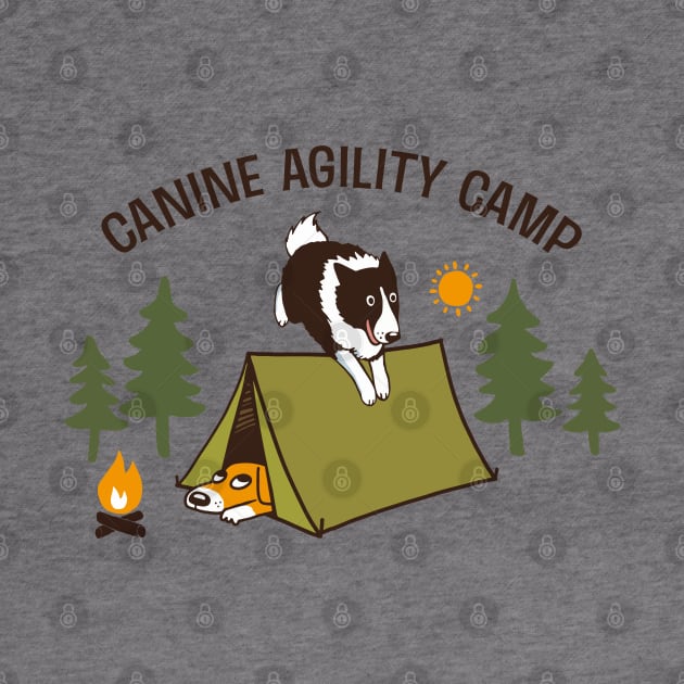 Canine Agility Camp | Border Collie Dog Agility by Coffee Squirrel